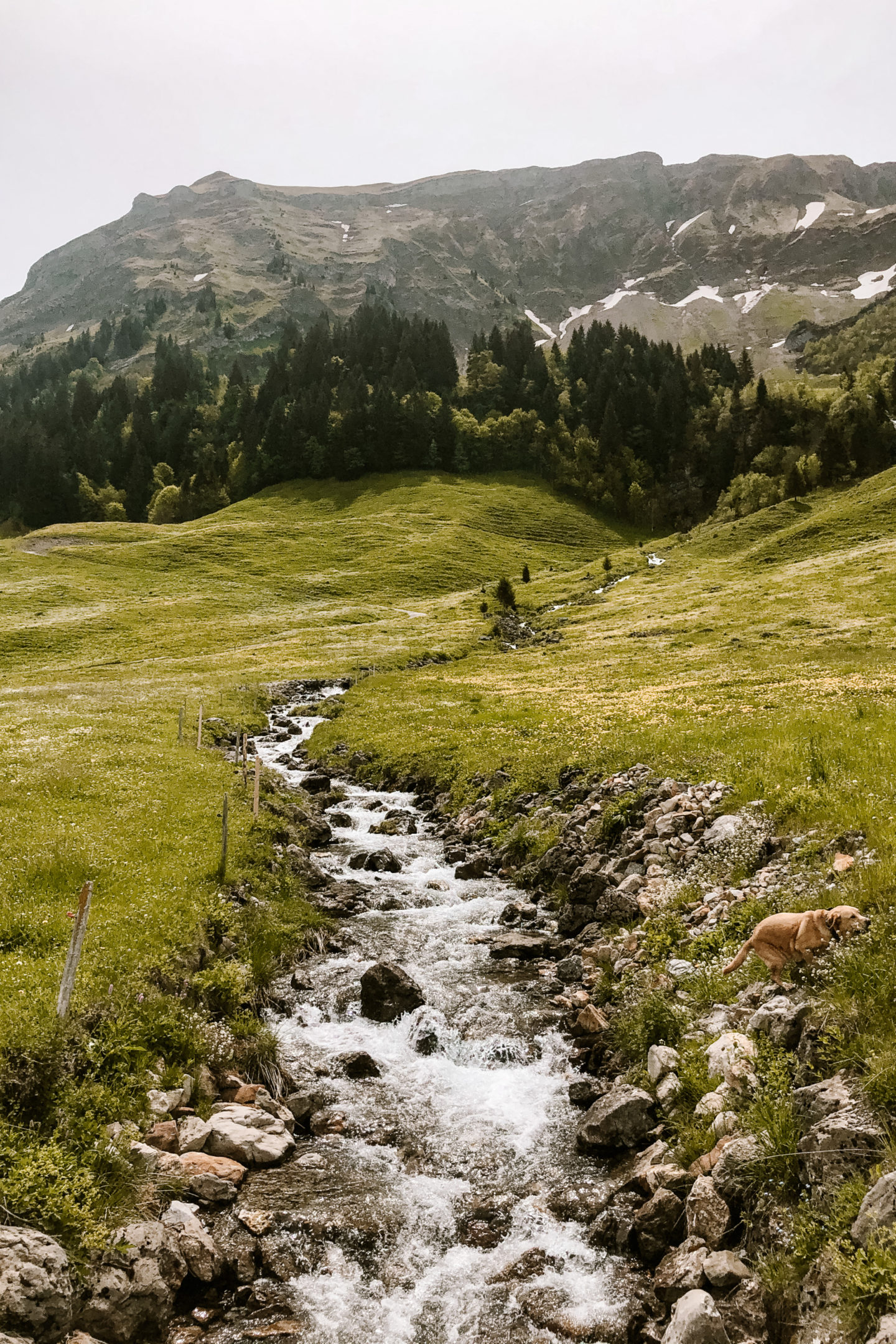 sörenberg eisee